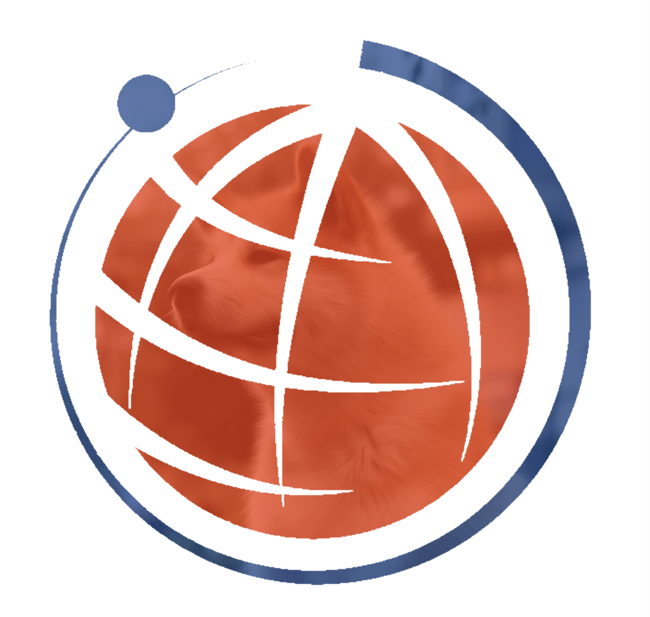 Network